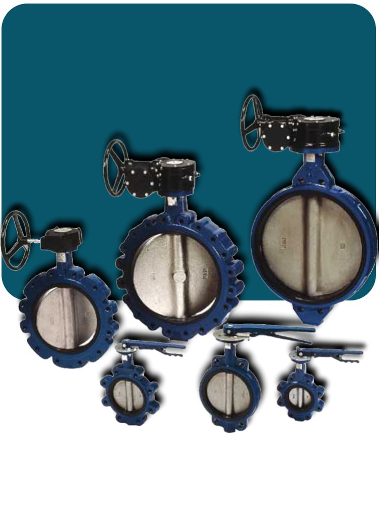  Butterfly Valve