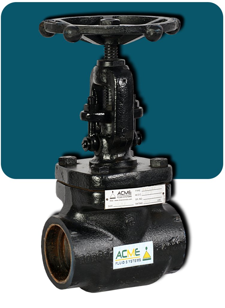  Gate Valve
