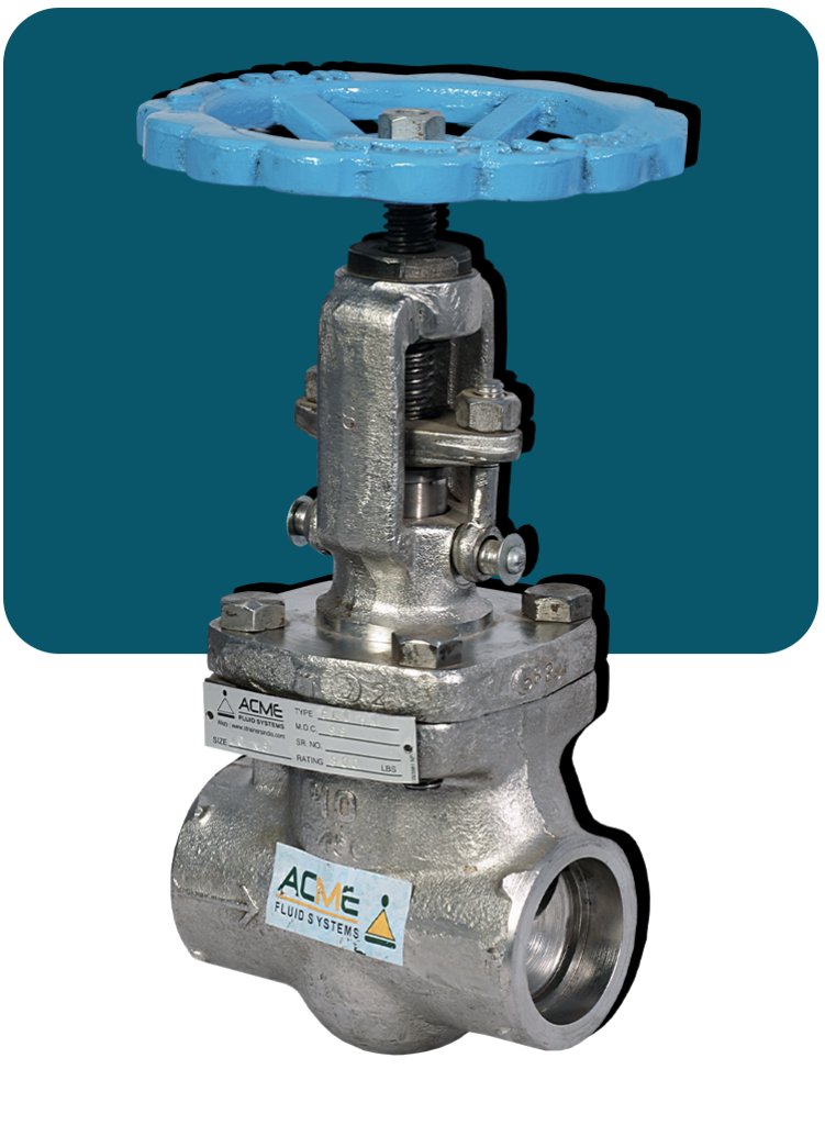  Globe Valve